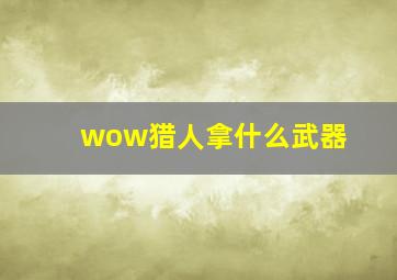 wow猎人拿什么武器