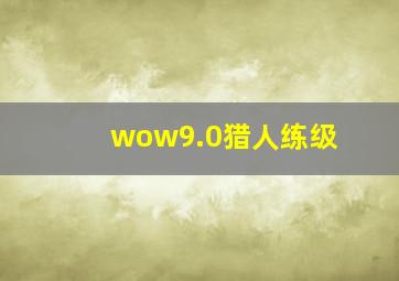 wow9.0猎人练级