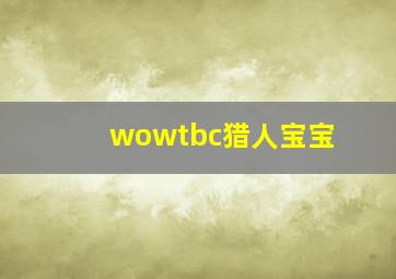 wowtbc猎人宝宝