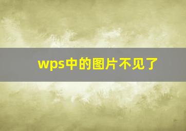 wps中的图片不见了