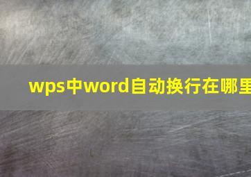 wps中word自动换行在哪里