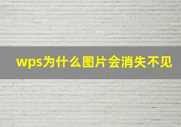 wps为什么图片会消失不见