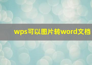 wps可以图片转word文档