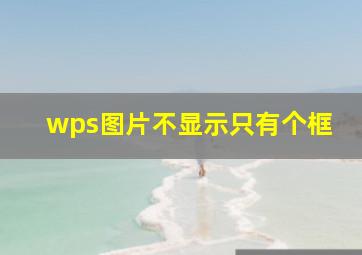 wps图片不显示只有个框