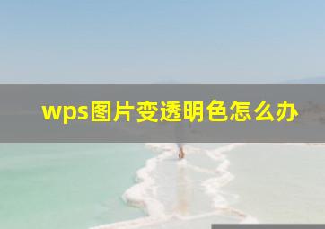 wps图片变透明色怎么办