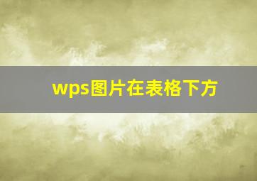 wps图片在表格下方