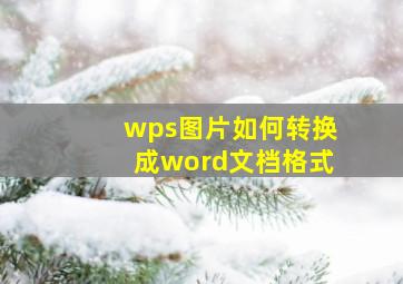 wps图片如何转换成word文档格式