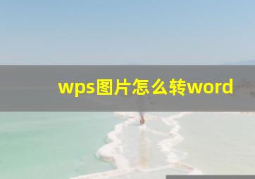 wps图片怎么转word