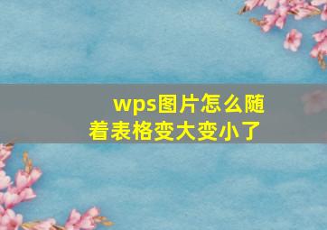 wps图片怎么随着表格变大变小了