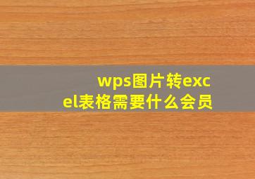 wps图片转excel表格需要什么会员