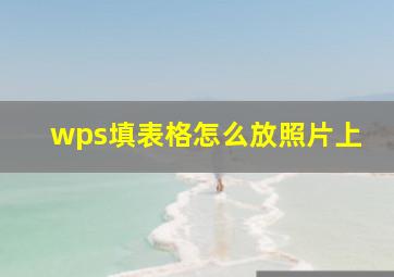 wps填表格怎么放照片上