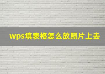 wps填表格怎么放照片上去