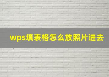 wps填表格怎么放照片进去