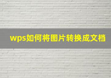 wps如何将图片转换成文档