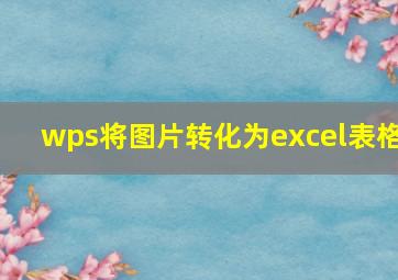 wps将图片转化为excel表格