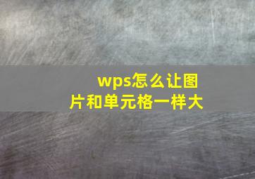 wps怎么让图片和单元格一样大