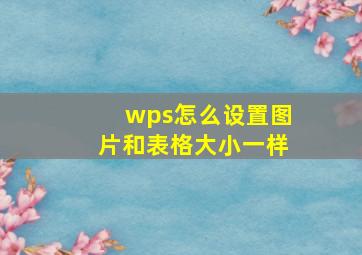 wps怎么设置图片和表格大小一样