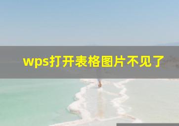 wps打开表格图片不见了