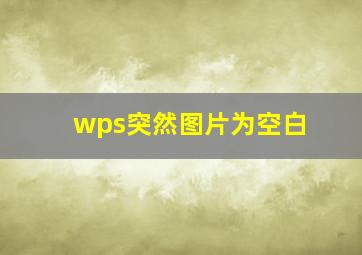 wps突然图片为空白