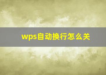 wps自动换行怎么关