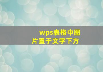 wps表格中图片置于文字下方