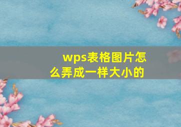 wps表格图片怎么弄成一样大小的