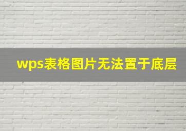 wps表格图片无法置于底层