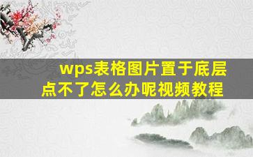 wps表格图片置于底层点不了怎么办呢视频教程