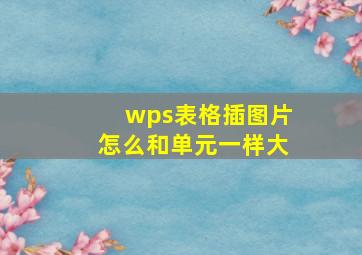 wps表格插图片怎么和单元一样大