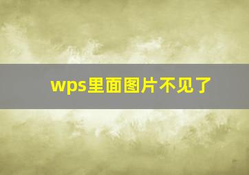 wps里面图片不见了