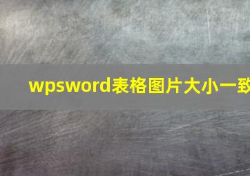 wpsword表格图片大小一致