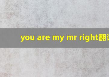 you are my mr right翻译