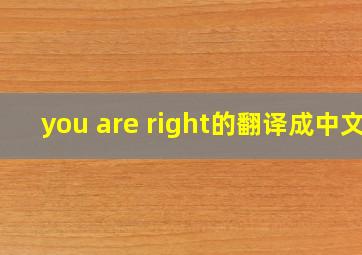 you are right的翻译成中文