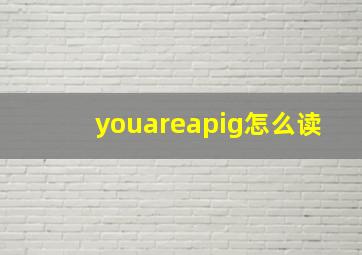 youareapig怎么读