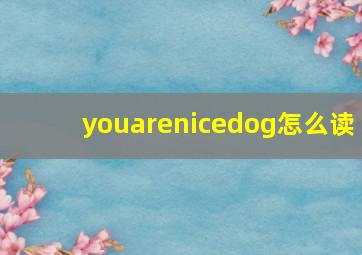 youarenicedog怎么读