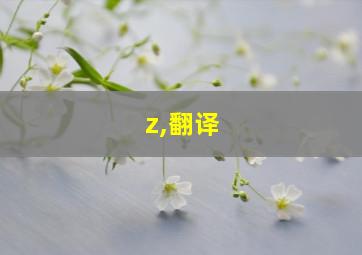 z,翻译